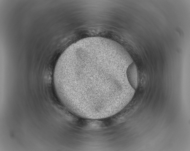 X0000110960226200907101334