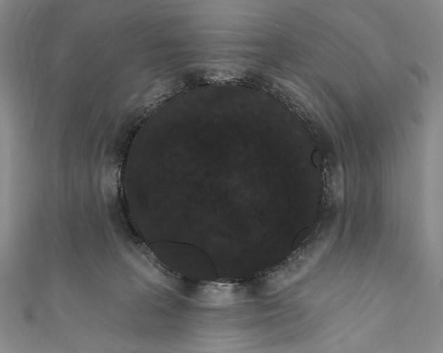 X0000110960227200907101334