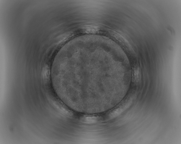 X0000110960228200907101334