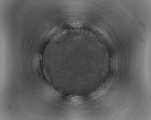 X0000110960229200907101334