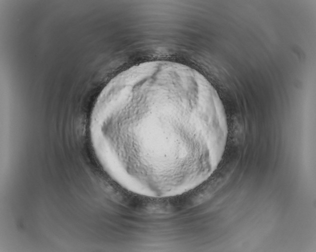 X0000110960230200907101334