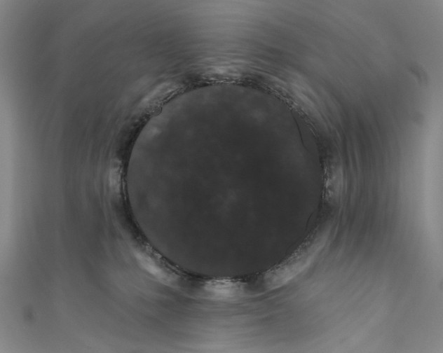 X0000110960231200907101334