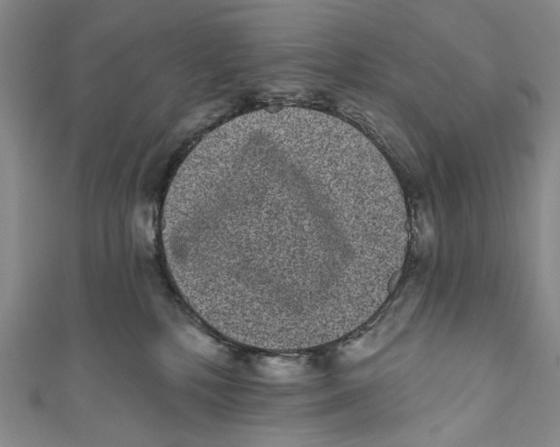 X0000110960232200907101334