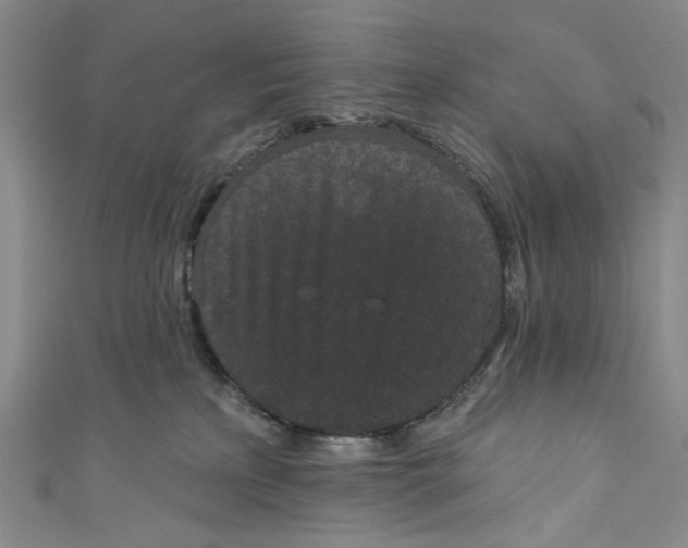 X0000110960233200907101334