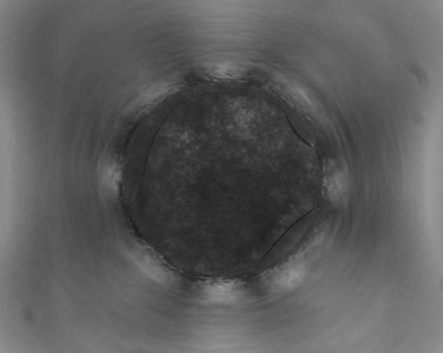 X0000110960235200907101334