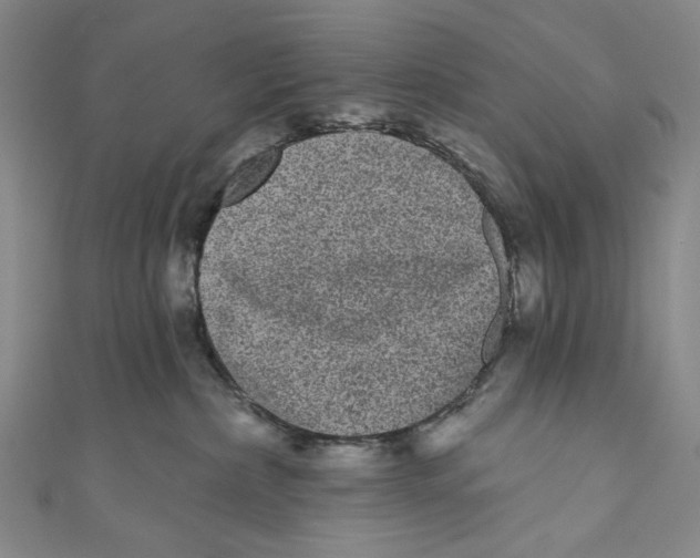 X0000110960236200907101334