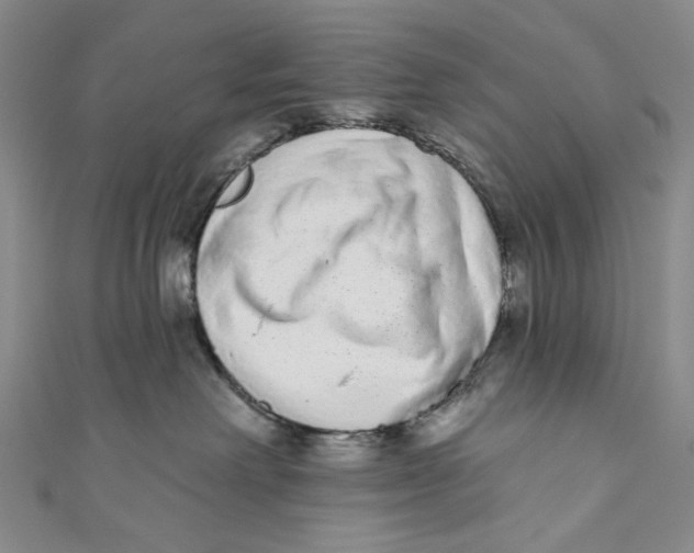 X0000110960238200907101334