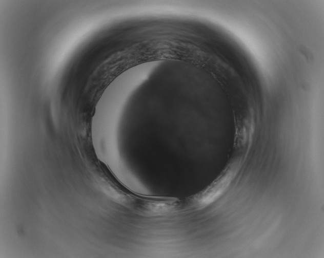 X0000110960239200907101334