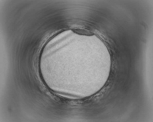 X0000110960241200907101333