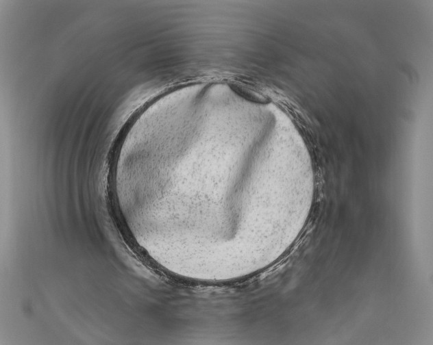 X0000110960242200907101333