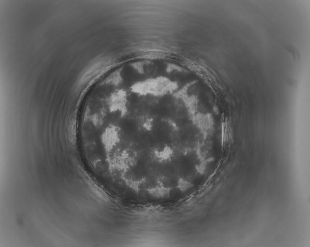 X0000110960243200907101333