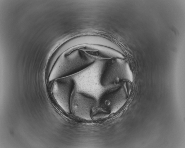 X0000110960244200907101333