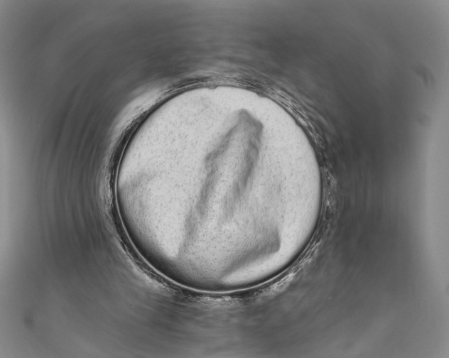 X0000110960245200907101333