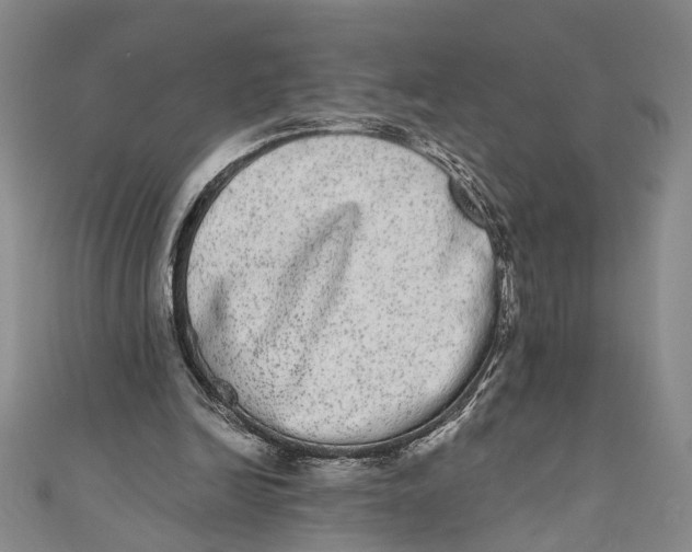 X0000110960246200907101333