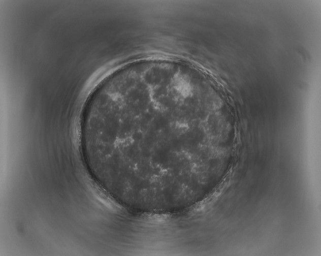 X0000110960247200907101333