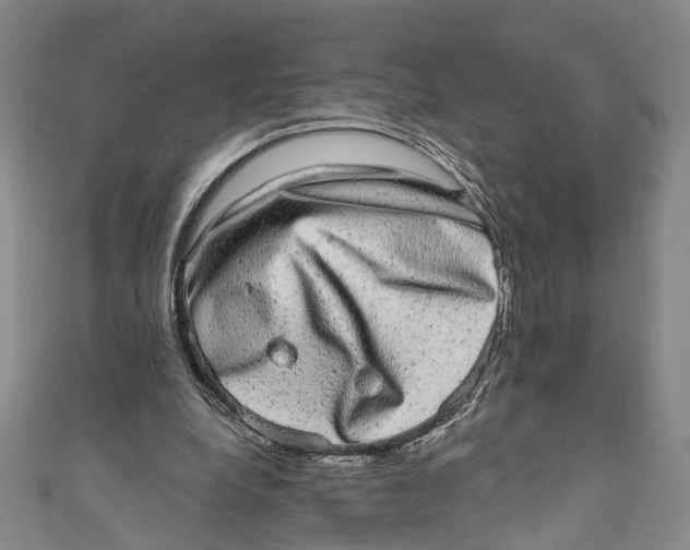 X0000110960248200907101333