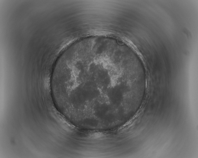 X0000110960249200907101333