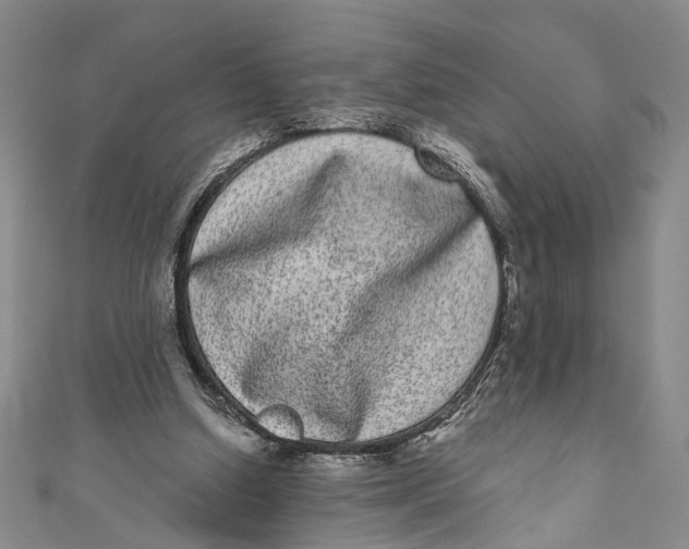 X0000110960250200907101334