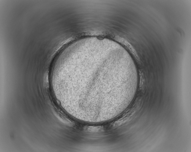 X0000110960251200907101334