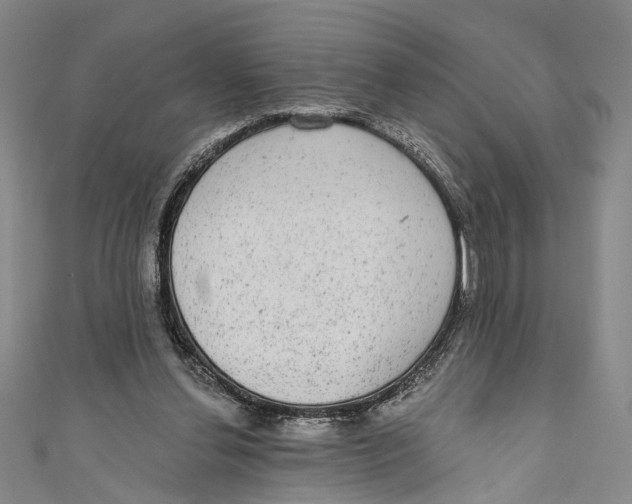 X0000110960252200907101334