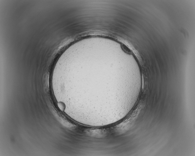 X0000110960253200907101334