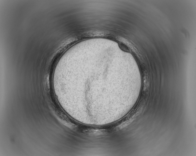 X0000110960254200907101334