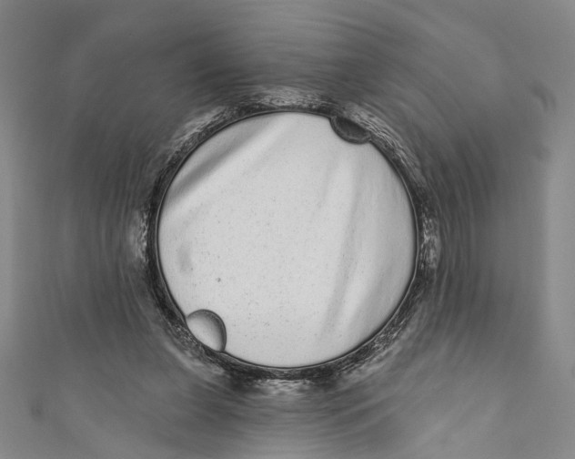 X0000110960255200907101334