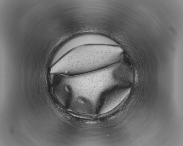 X0000110960256200907101334