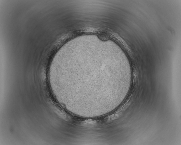 X0000110960257200907101334