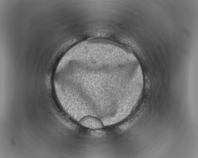 X0000110960258200907101334