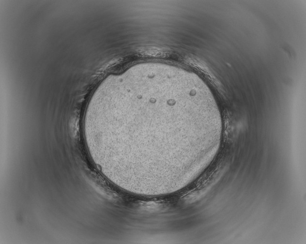 X0000110960259200907101334