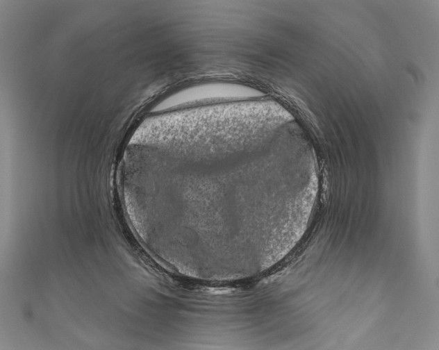 X0000110960260200907101334