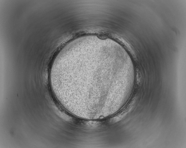 X0000110960261200907101334