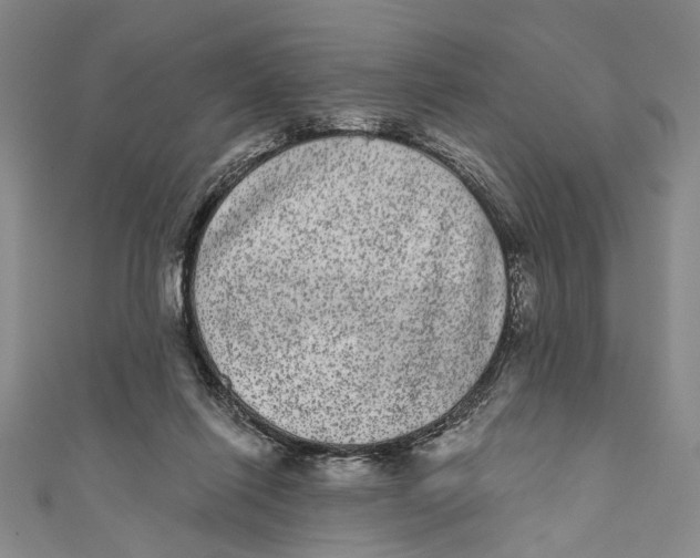 X0000110960262200907101334