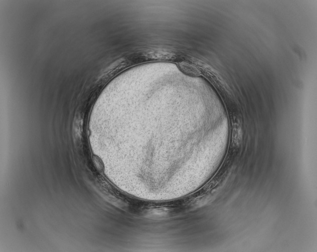 X0000110960263200907101334