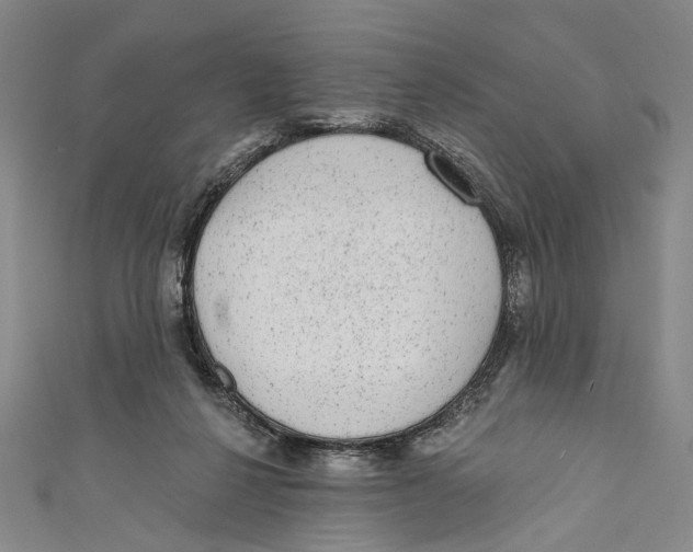 X0000110960264200907101334