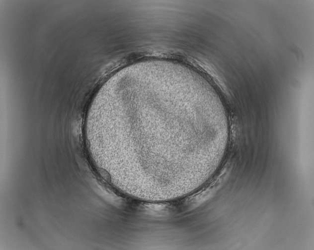 X0000110960265200907101334