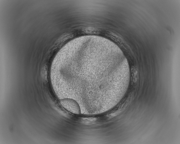 X0000110960266200907101334