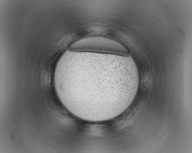 X0000110960268200907101334