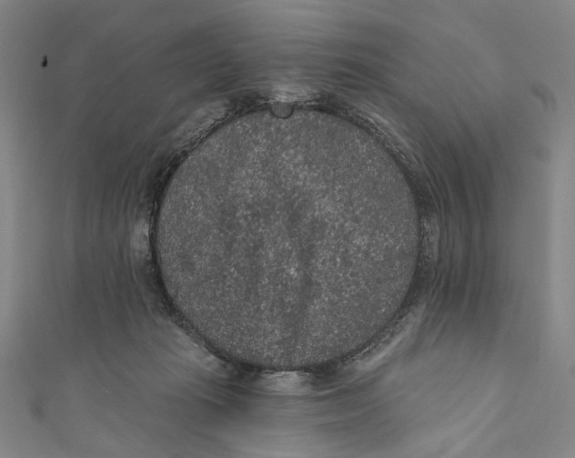 X0000110960269200907101334