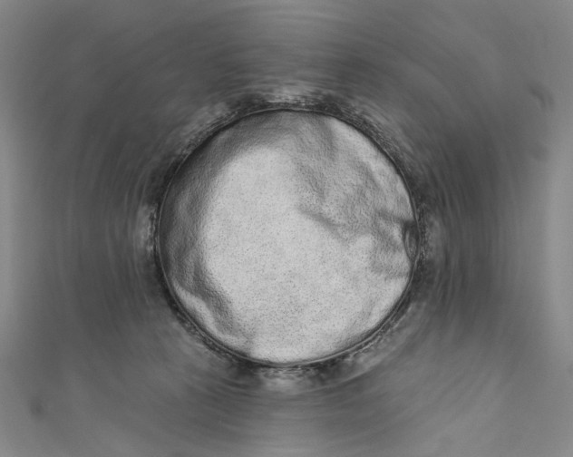 X0000110960273200907101334