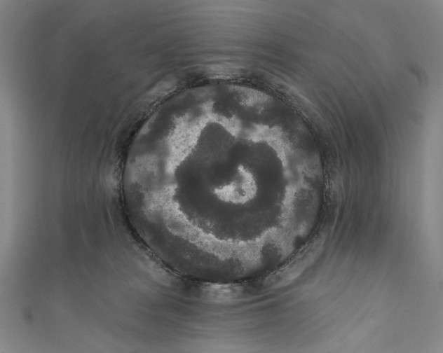 X0000110960277200907101334