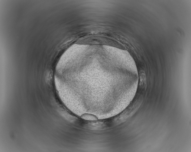 X0000110960278200907101334