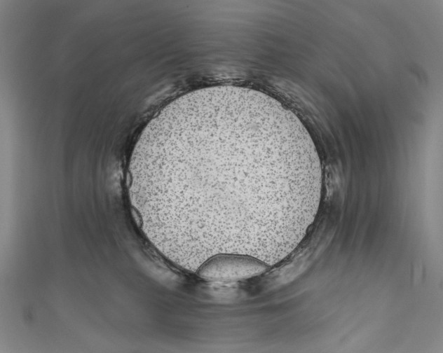 X0000110960279200907101334