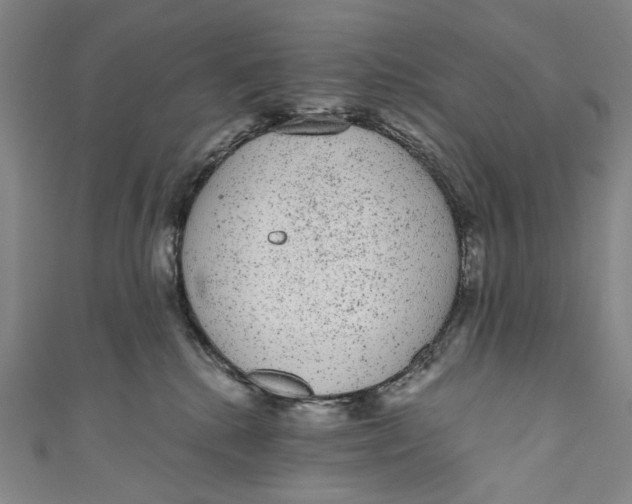 X0000110960280200907101334