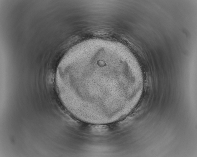 X0000110960281200907101334