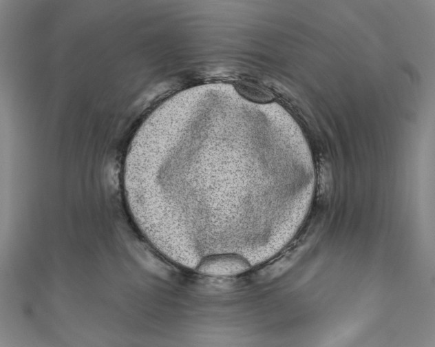 X0000110960282200907101334