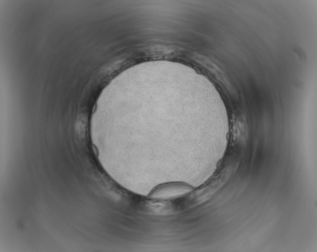 X0000110960283200907101334