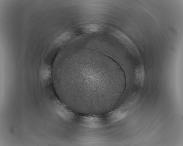 X0000110960284200907101334