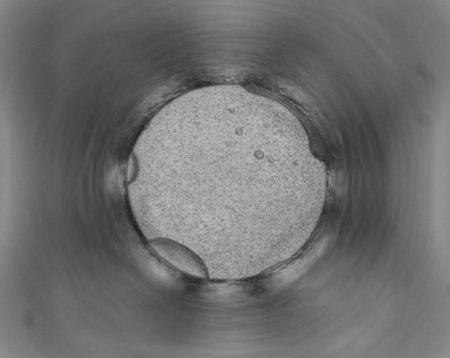 X0000110960286200907101334